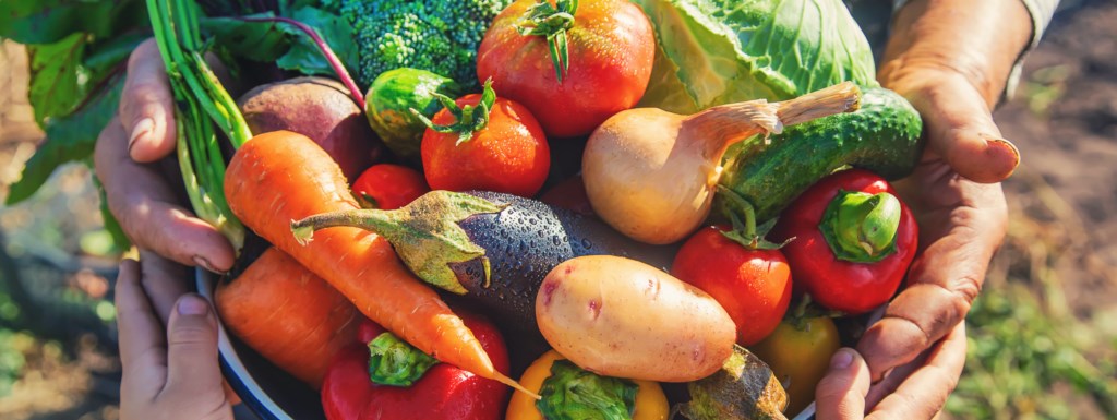 Distribution De Les Goûts Et Les Couleurs Informations générales sur les légumes wallons | l'Apaq-W